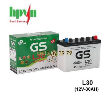 Ắc Quy GS L30 (12V-30Ah)