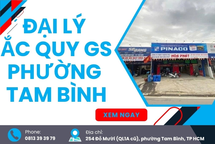 Thay Ắc Quy GS Phường Tam Bình Nhanh Chóng – Chính Hãng 100%